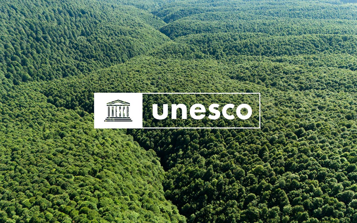  - : News - Cansiglio, la foresta della Serenissima pronta a diventare Riserva della Biosfera MAB