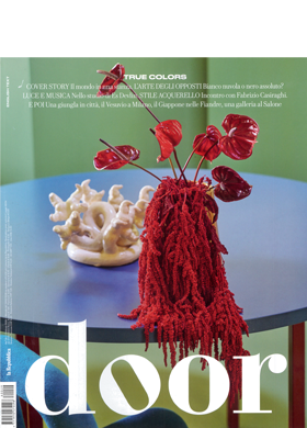 Miniatura articolo: Door