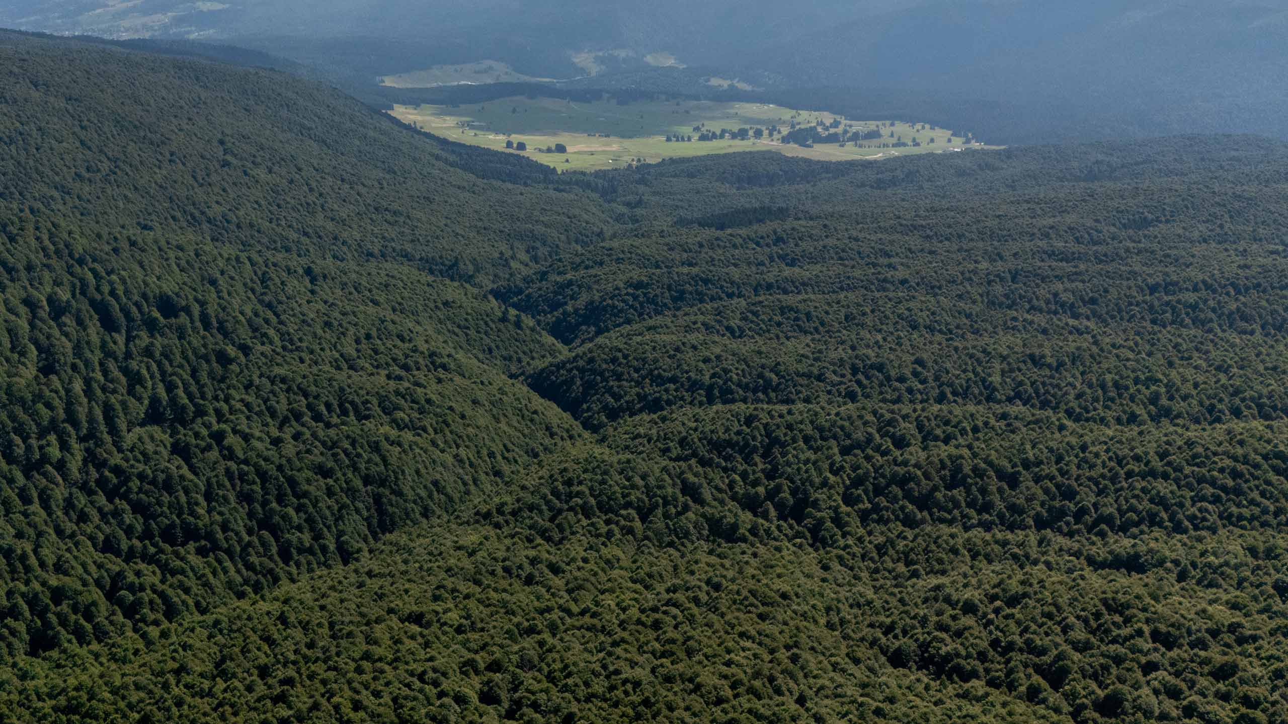 Immagine di sfondo: 10 al 23 agosto